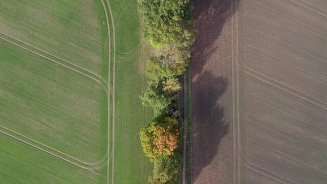 Top view drone footage of country road and tree line near the road with autumn colors, taken at place called Uetz in Brandenburg, Germany.