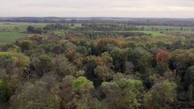 Areal drone footage of trees with autumn colors taken at place called Uetz in Brandenburg, Germany. Peaceful and tranquil atmosphere, untouched natural environment.