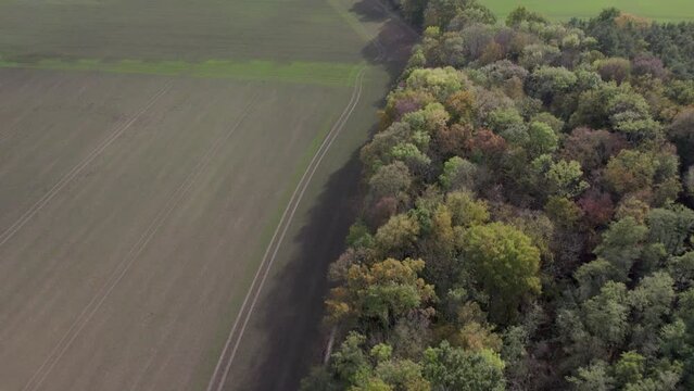 Areal drone footage of revealing beautiful landscape with autumn colors taken at place called Uetz in Brandenburg, Germany.