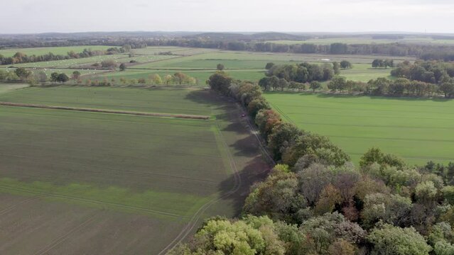 Areal drone footage of farm fields and trees with autumn colors taken at place called Uetz in Brandenburg, Germany. Peaceful and tranquil atmosphere.