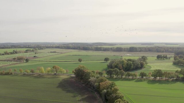 Areal view drone footage of country road with cars passing on it as long at landscape with autumn colors taken at place called Uetz in Brandenburg, Germany. Beautiful nature.