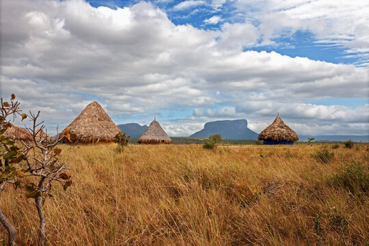 Grass huts in a village, Canaima National Park, Venezuela