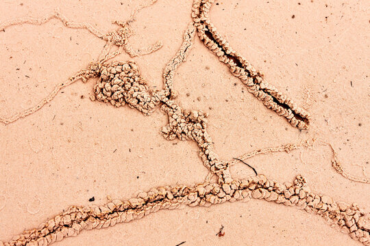 Footprint on beach, Canaima National Park, Venezuela