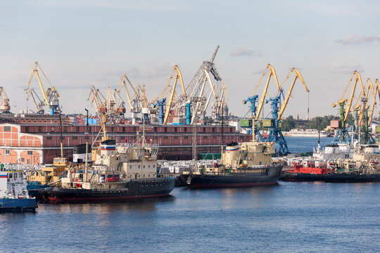 Cranes at Harbor, Saint Petersburg, Russia