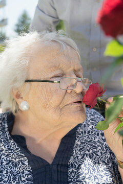 Son with mother smelling rose flower at park