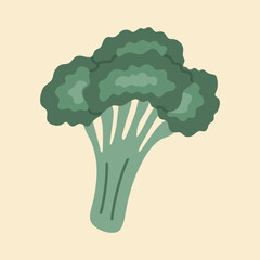 Green broccoli. Fresh vegetable, dieting product. Hand drawn vector illustration isolated on light background. Flat cartoon style.