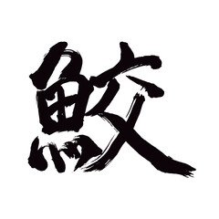Japan calligraphy art【shark・상어】日本の書道アート【鮫・さめ・サメ・コウ】／This is Japanese kanji 日本の漢字です／illustrator vector イラストレーターベクター