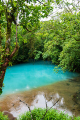 Naklejka premium Rio Celeste, Nationalpark Tenorio