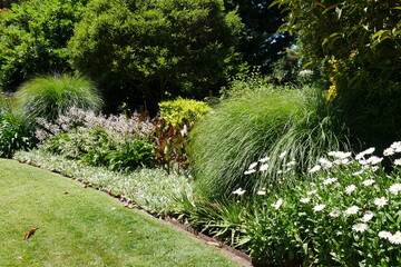 Fototapeta premium Blumenbeet mit Stauden in Parkanlage in Melbourne