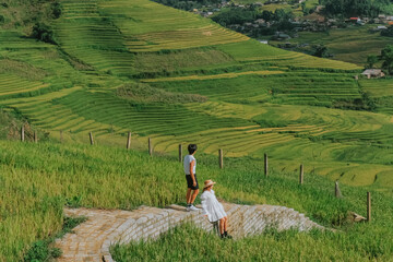 Rice terraces, agricultural fields in countryside Sapa Vietnam mountain hills valley on summer in travel trip and holidays vacation concept