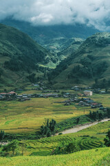 Rice terraces, agricultural fields in countryside Sapa Vietnam mountain hills valley on summer in travel trip and holidays vacation concept