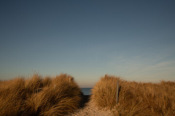 Am Strand der Ostsee mit Blick durch die Dünen
