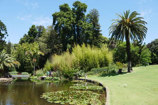 Royal Botanical Gardens In Melbourne - Botanischer Garten