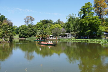 Fototapeta na wymiar Royal Botanical Gardens in Melbourne - Botanischer Garten