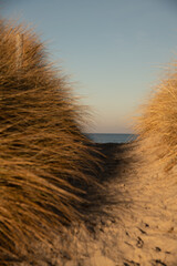 Am Strand der Ostsee mit Blick durch die Dünen