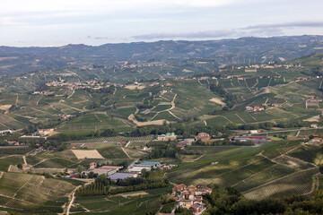 Fototapeta na wymiar Langhe vineyards near Barolo and La Morra, Unesco Site, Piedmont, Italy