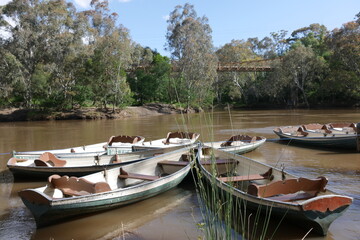Obraz premium Rudeboote auf dem Yarra River in Melbourne