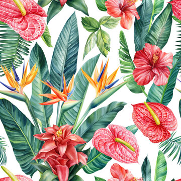 Floral Seamless pattern, jungle palm levels. Bromeliad, hibiscus, anthurium and strelitzia Flowers