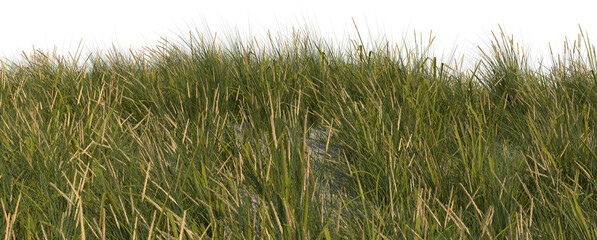 beach grass sand dune foreground hq arch viz cutout full dof - 569476223