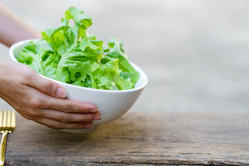 Hand holding lettuce in a white bowl. Hand holding lettuce in a white bowl.