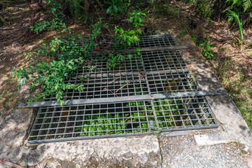 Ruins of industrial heritage related to the gold rush at Karangahake Gorge in New Zealand