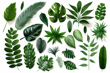 Tropical Exotic Luxury leaves isolated on white background. Graphic elements for advertising and creativity.Ai generated