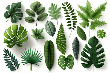 Tropical Exotic Luxury leaves isolated on white background. Graphic elements for advertising and creativity.Ai generated