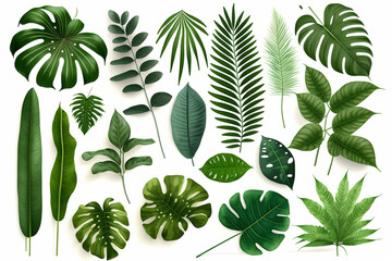 Tropical Exotic Luxury leaves isolated on white background. Graphic elements for advertising and creativity.Ai generated