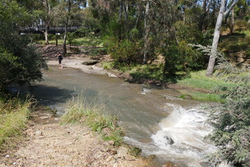 Merri Creek in Melbourne