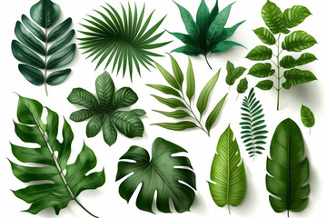 Tropical Exotic Luxury leaves isolated on white background. Graphic elements for advertising and creativity.Ai generated