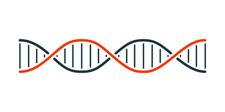 DNA icon isolated over transparent illustration