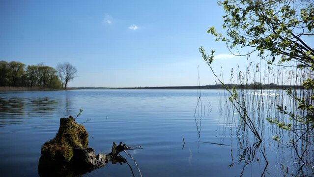 Natural Background. Lake Landscape In Sunny Spring Day. High quality video 4k 4:2:2 10bit. video background and nature sounds