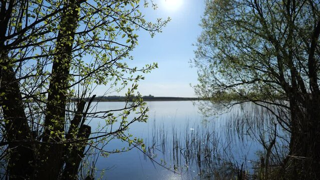 Natural Background. Lake Landscape In Sunny Spring Day. High quality video 4k 4:2:2 10bit. video background and nature sounds