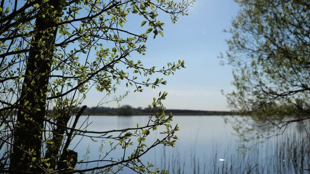 Natural Background. Lake Landscape In Sunny Spring Day. High quality video 4k 4:2:2 10bit. video background and nature sounds