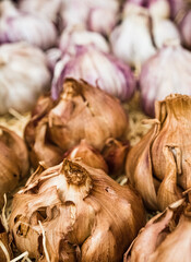 Roasted garlic bulbs.