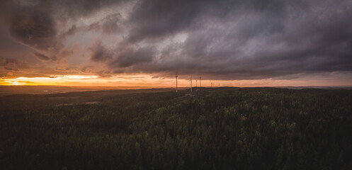 sunset over the field