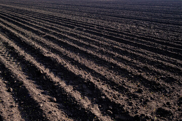 Arable land. Furrows rows in plowed field prepared for planting crops in spring. Land prepared for...