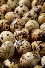 Fototapeta premium Large group of quail eggs.