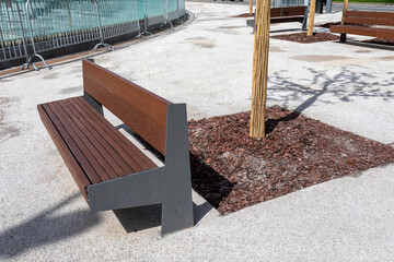 Improvement of modern city square. Wooden bench, tree trunk with bark mulching on pedestrian...