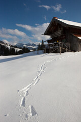 wooden little cabin in the snow