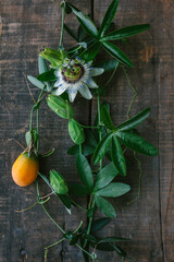 Passion Flower Fruit Flat Lay on a Wooden Background