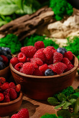 raspberries in a plate in a forest clearing.