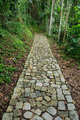 Beautiful view to rustic paved rocky path on green rainforest area