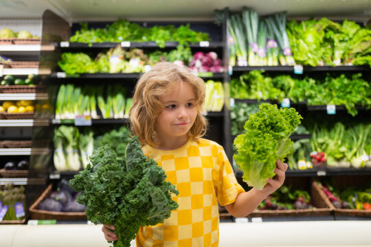 Child With Lettuce Chard Vegetables. Shopping In Supermarket. Kids Buying Groceries In Supermarket. Little Boy Buy Fresh Vegetable In Grocery Store. Child In Shop.