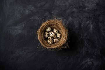 Quail eggs in a nest