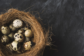 Obraz premium Quail eggs in a nest on rustic black background