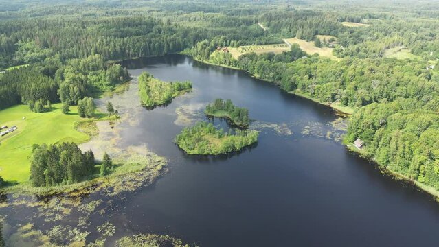 Many small islands aerial drone view. Summer vacation place. Autumnal view. Flat landscape. Small green islands with forest inside the lake. Green summer landscape. Autumnal view. High quality 4k 