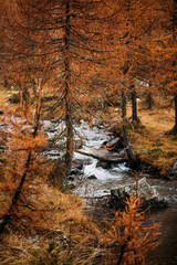 Obraz premium Autumnlandscape in Trentino Italy