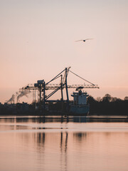 Obraz premium Silhouette of the port with a bird flyin around at sunset