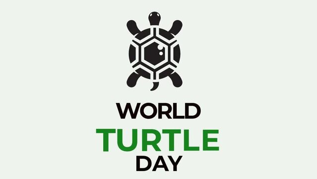 World Turtle Day